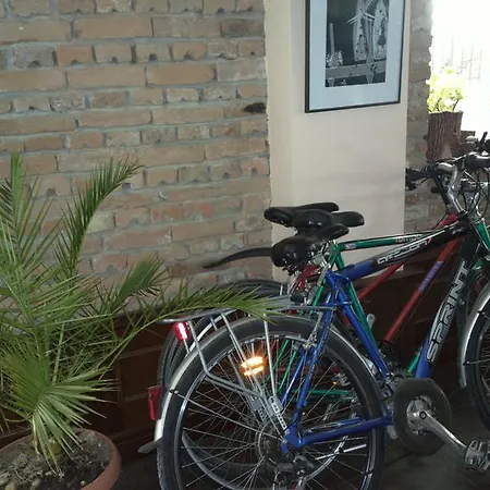 瑟琳娜酒店 3* 巴尔奇克