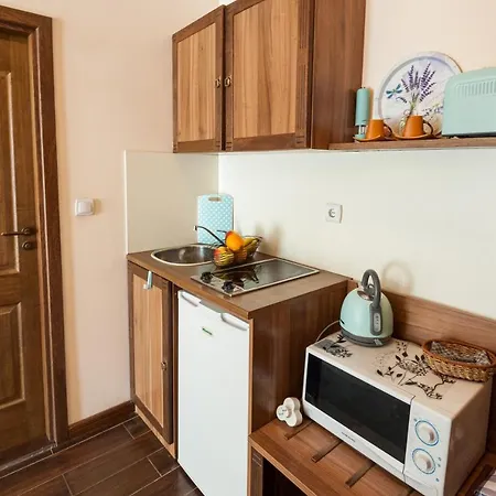 酒店 瑟琳娜酒店 3*