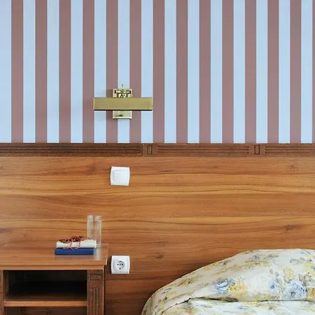 Hotel Selena 3*