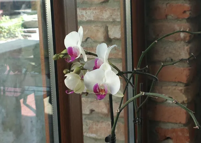 Selena Hotel Balchik